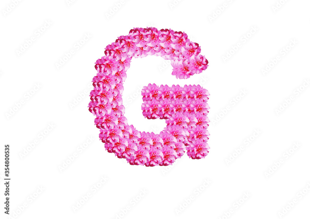 The letter is made of pink flowers on a white background. Spring concept Floral letters of the alphabet for wedding design or flower festival The letter is made of pink flowers on a white background. Spring concept Floral letters of the alphabet for wedding design or flower festival