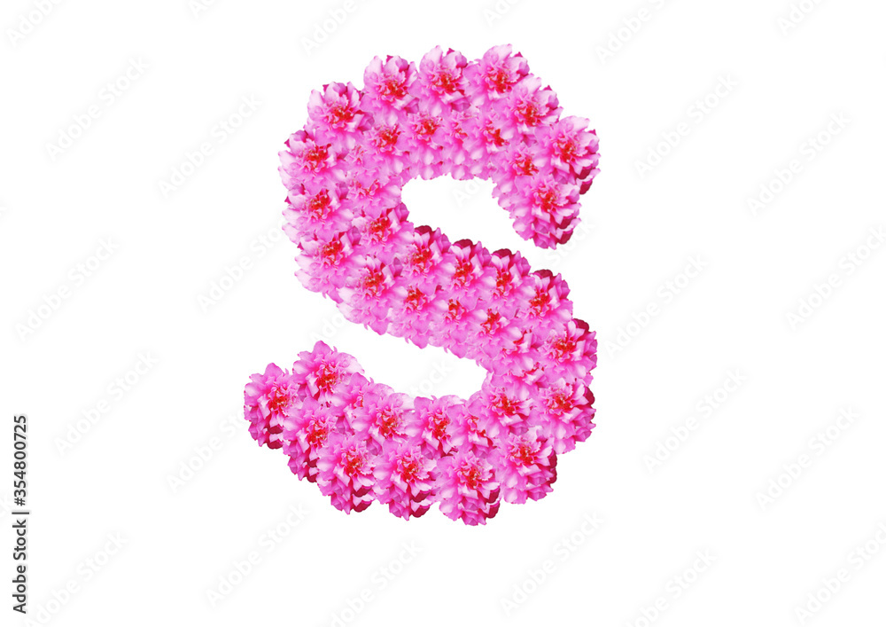 The letter is made of pink flowers on a white background. Spring concept Floral letters of the alphabet for wedding design or flower festival