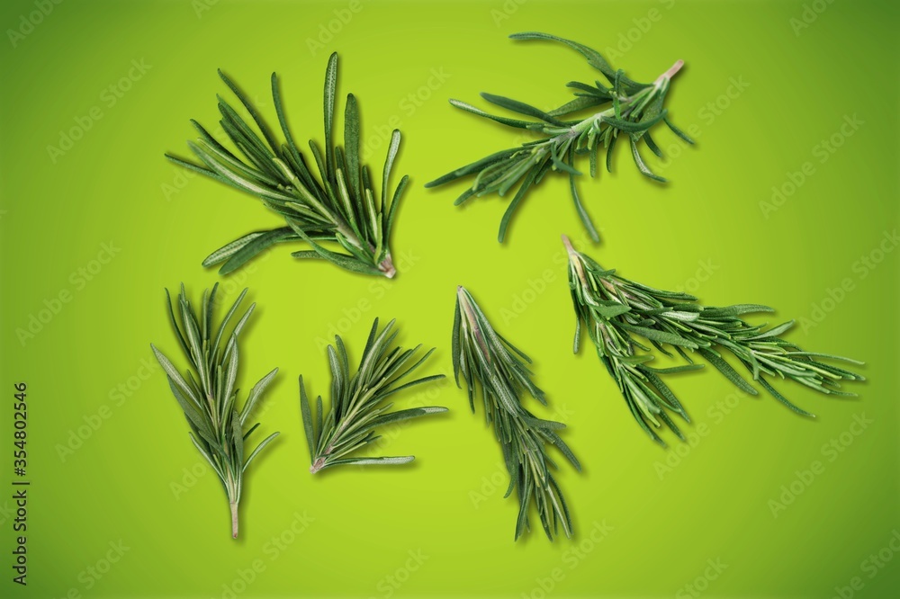 Naklejka premium Rosemary.
