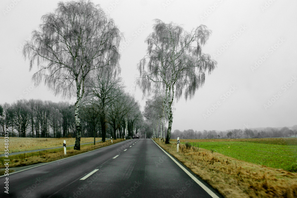 Winter road with frozen trees close to Hamburg