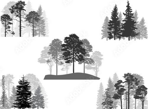 set of five grey pine trees groups on white photo