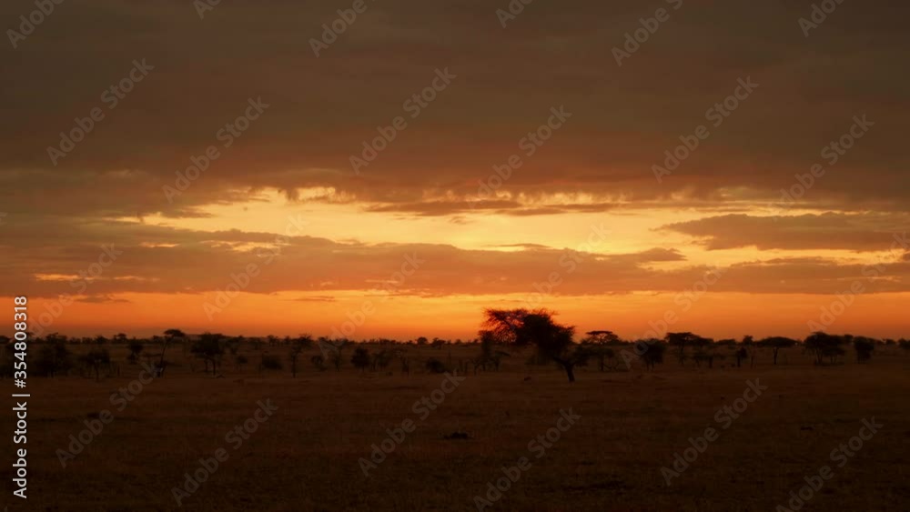 Yellowish sunset. Serengeti national park, Tanzania. Yellowish sunset. Serengeti national park, Tanzania.