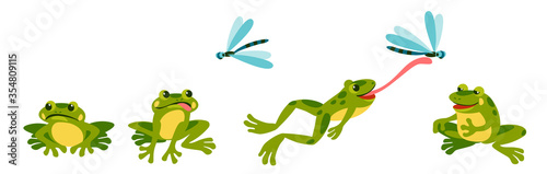 funny frog is resting sad hungry, sees a dragonfly, jumps and shoots its tongue, eats it and sits contentedly and full.