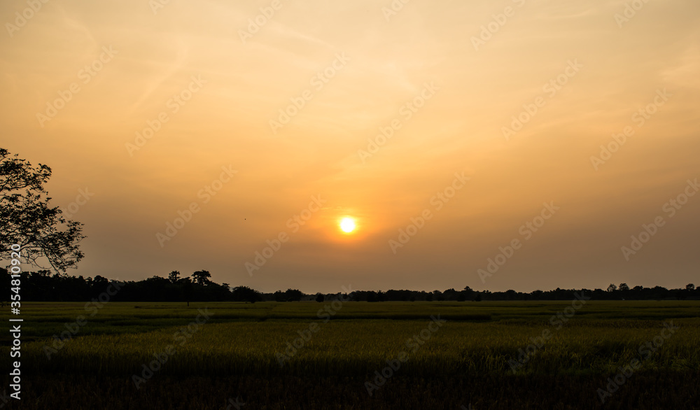 Sunset  or Sunrise View at Kaziranga National Park of Assam, India

