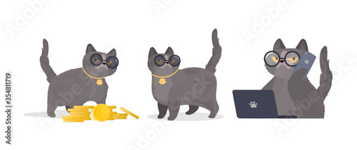 Set of funny cats in glasses. Cat sticker with a serious look. Good for stickers, t-shirts and postcards. Isolated. Vector.
