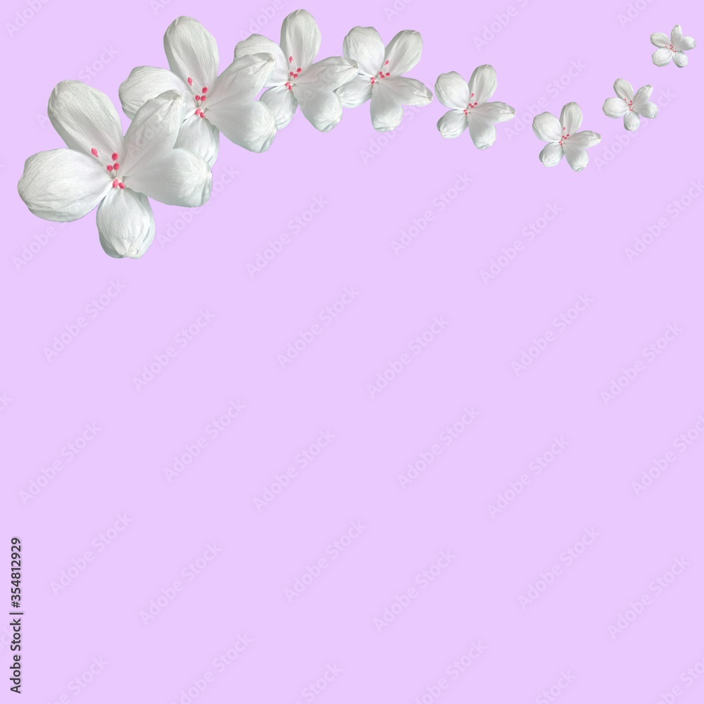 Arrangement of White paper flowers on pink background