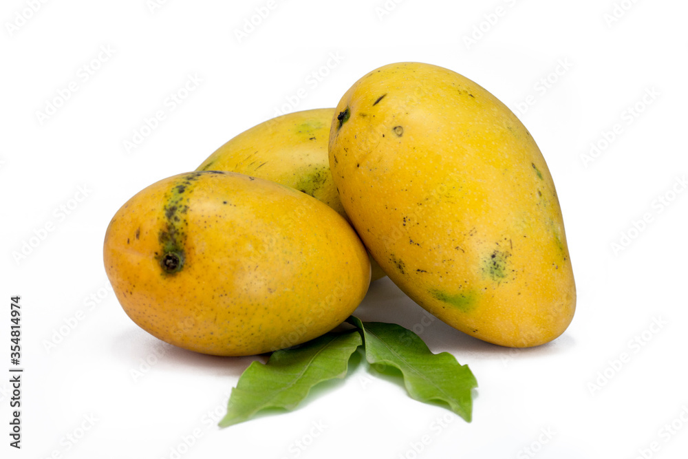 set of three fresh mangoes on white background