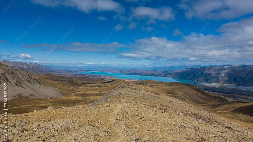 New Zealand tussock mountain landscape with view of Lake Tekapo
