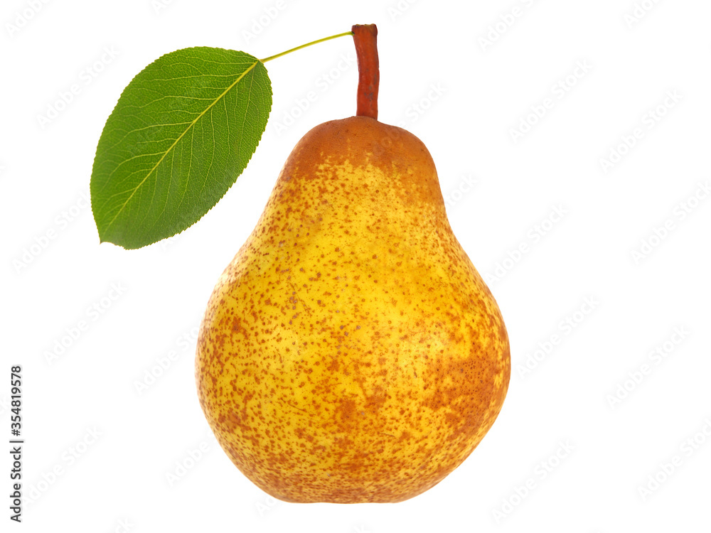 Pear isolated on white background Pear isolated on white background