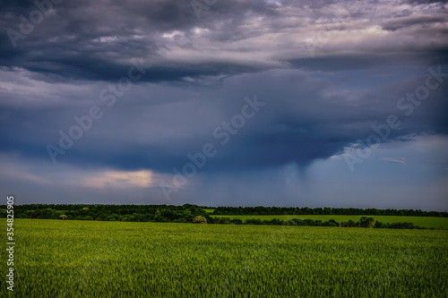 Thunderclouds in the sky before a thunderstorm over a field of wheat rural landscape