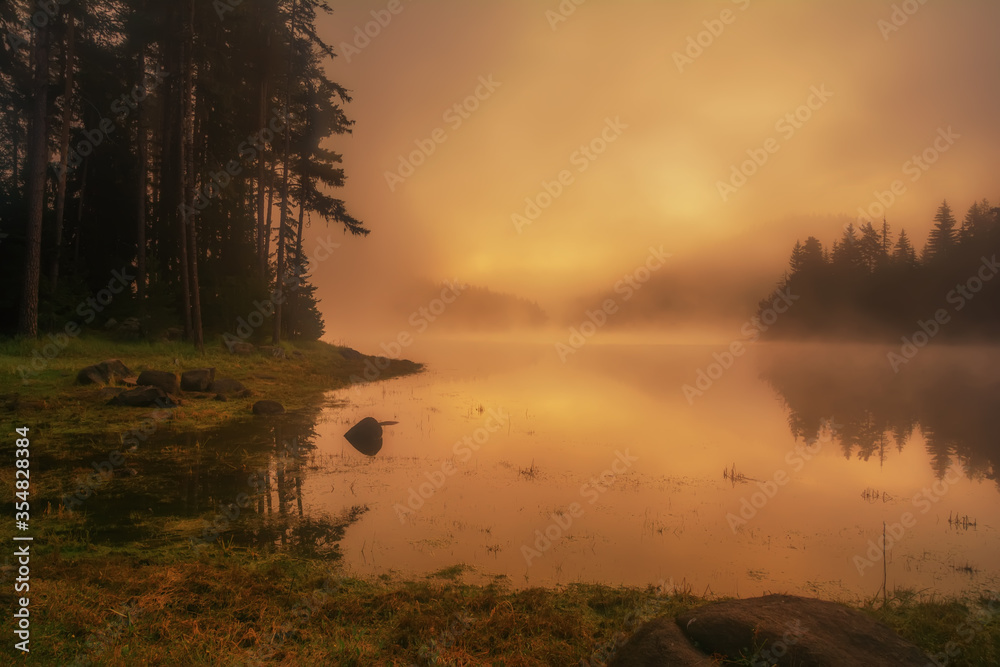 Mystical light in the early morning. Photographed at a small lake in Bulgaria.