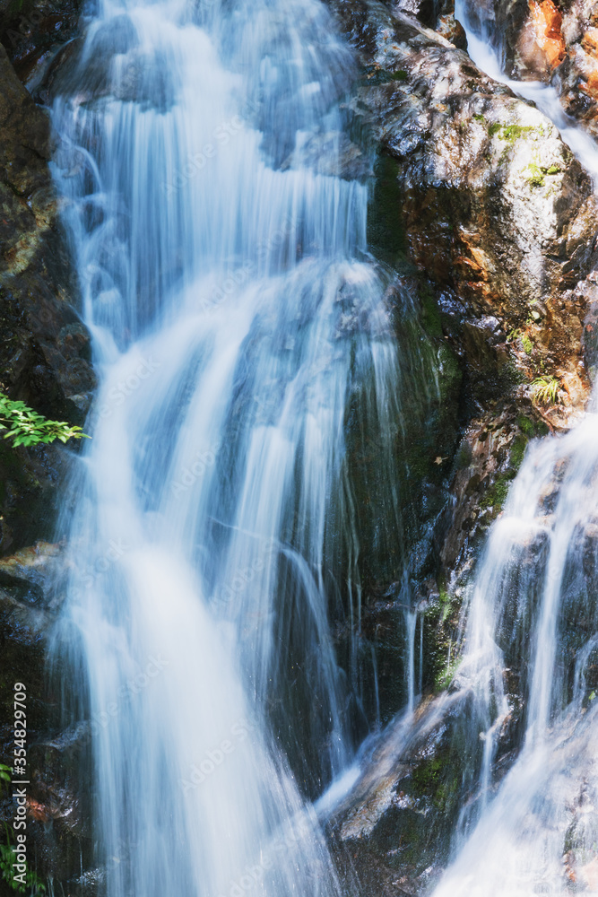 Fototapeta premium 滝