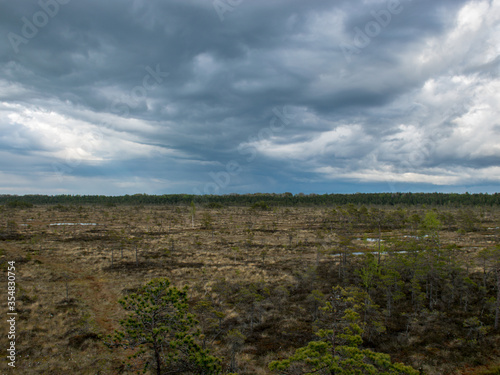 landscape with old peat bog and swamp vegetation, Niedraju Pilka bog, Latvia