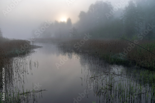 landscape with fog in the morning, mystical fog on the river, blurred grass and tree contours