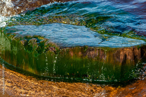 a large flat rock lay at the water s edge. the stone is covered with green algae.