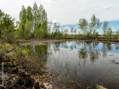 spring landscape in a peat bog, bog texture, Sedas moor, Latvia