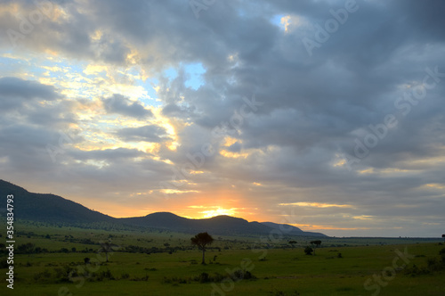 Sunrise in african savanna  Masai Mara national park  Kenya  Africa 