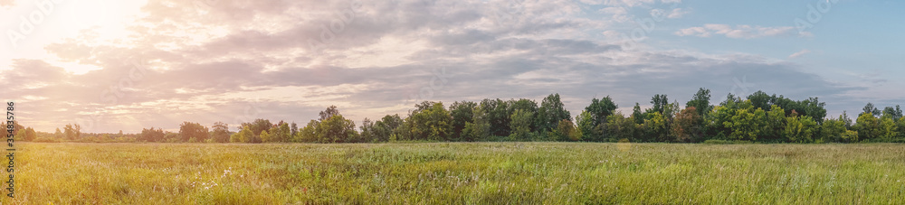 Obraz premium Panorama of a large green meadow in the sunlight