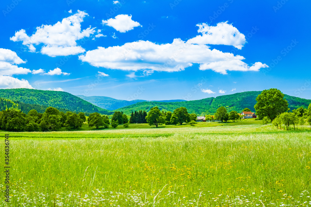 Obraz premium Croatia, beautiful green countrysede landscape in region of Lika