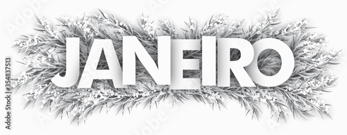 Frozen Fir Twigs Janeiro