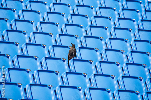 Sitze, Stadion © Andreas Gruhl
