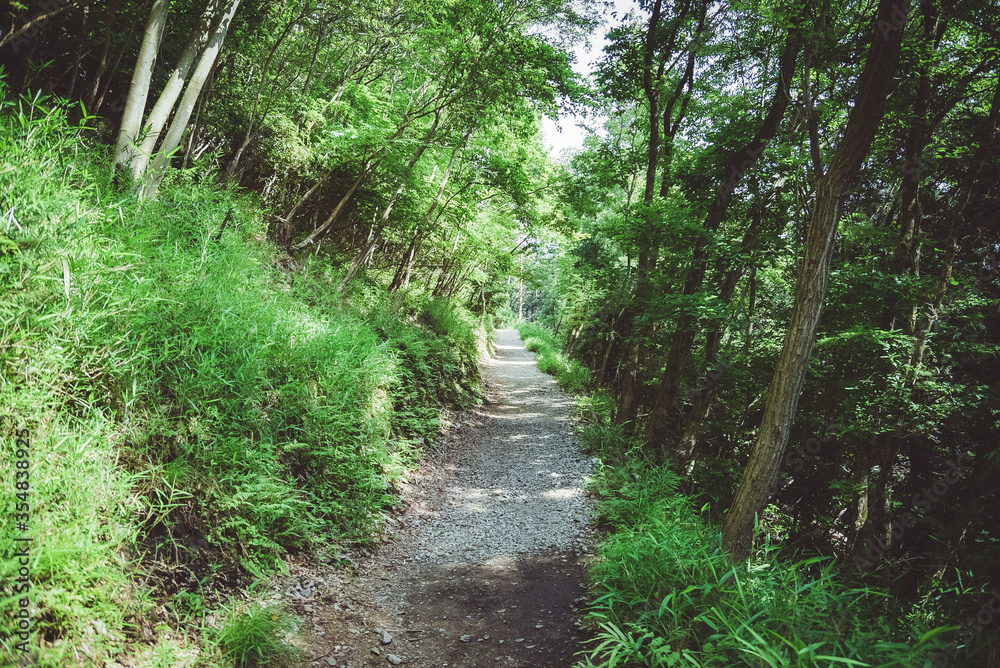 田舎道 田舎道