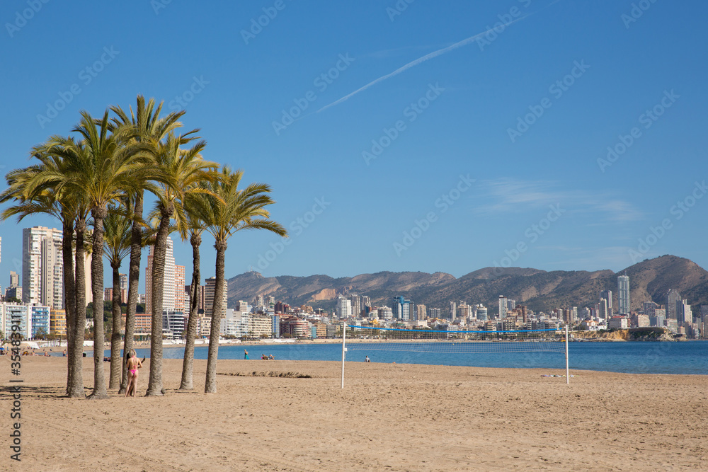 Palm trees Benidorm beach Spain Poniente playa with beautiful blue sea and sky on Costa Blanca 