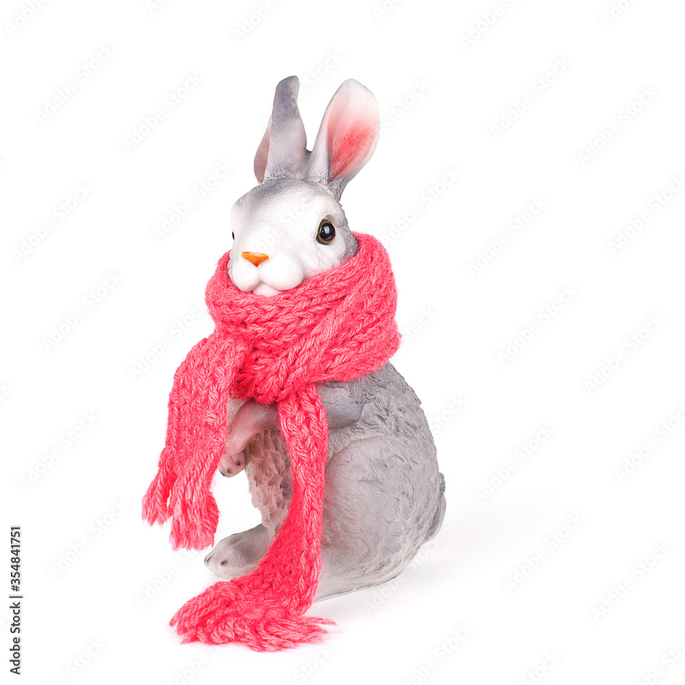 Obraz premium Rabbit in a warm scarf