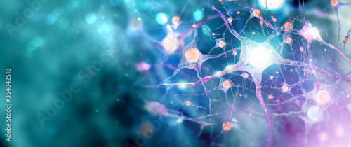 Neural network. Human nervous system background with copy space (3d microbiology render banner) photo