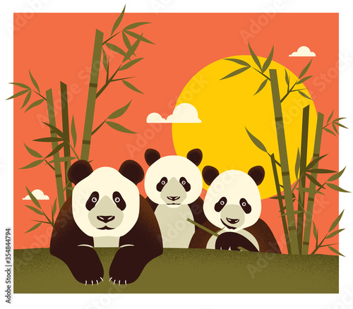 Family panda