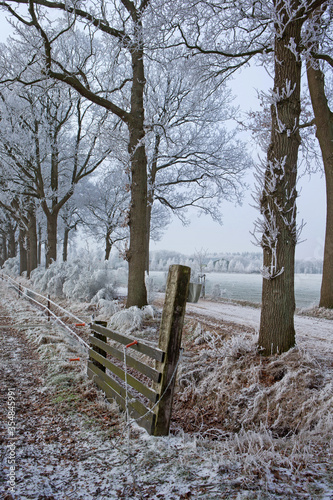 Winter. Snow. Frost. Maatschappij van Weldadigheid Frederiksoord. Drenthe. Netherlands. Lane structure
