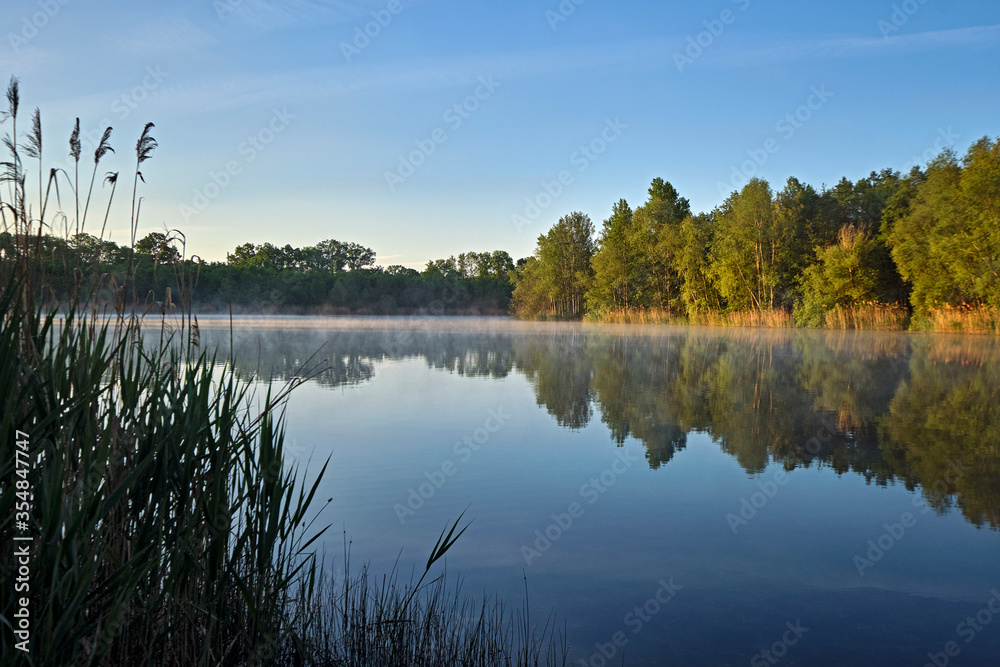 Obraz premium Sonnenaufgang am Waldsee.