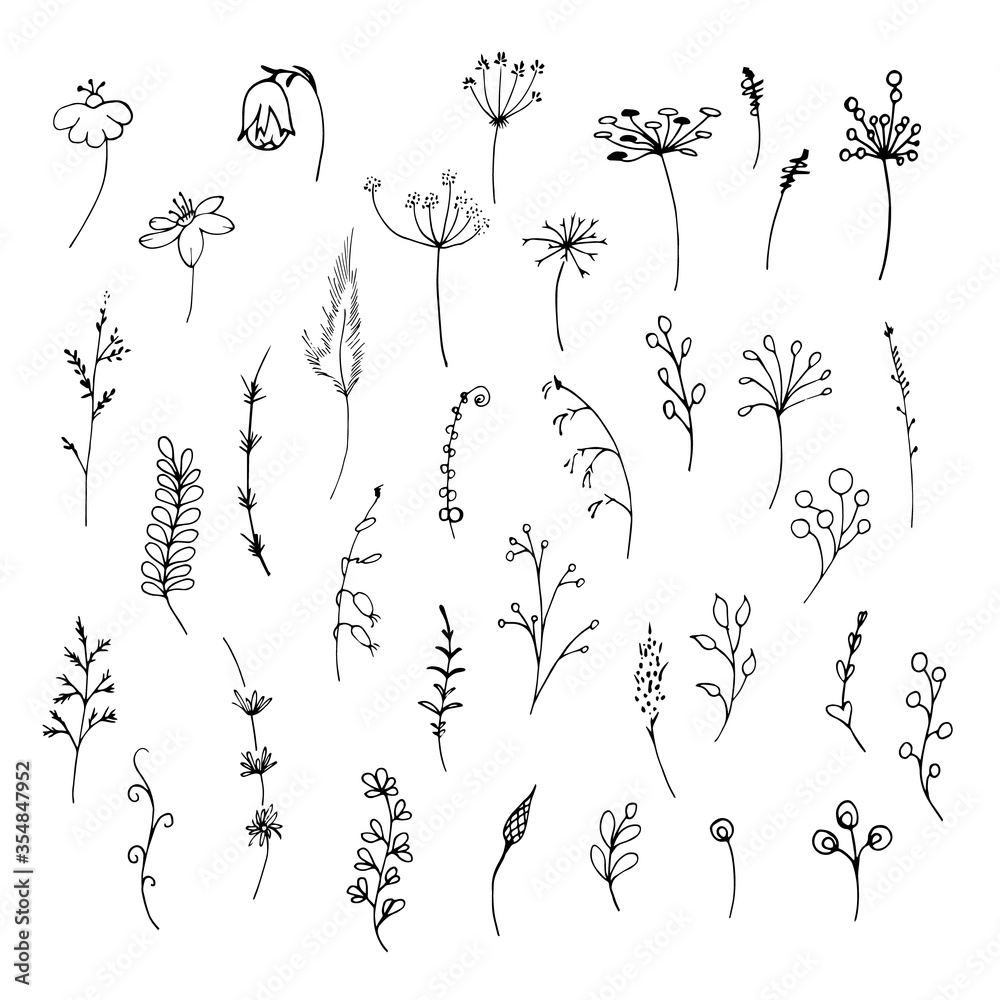 Set of hand drawn summer herbs.. Collection of doodle floral element ...
