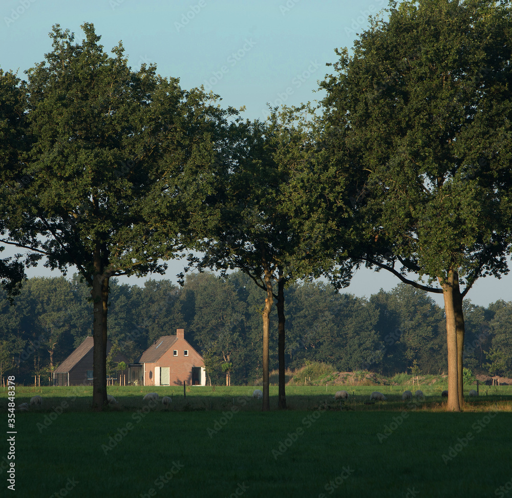 Colony house. Koloniehuisje. Frederiksoord Drenthe Netherlands. Maatschappij van Weldadigheid Colony house. Koloniehuisje. Frederiksoord Drenthe Netherlands. Maatschappij van Weldadigheid