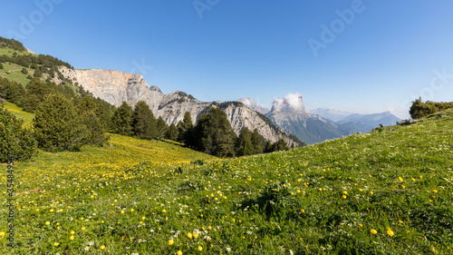landscape of the high plateaus of the South Vercors, Combeau valley, France