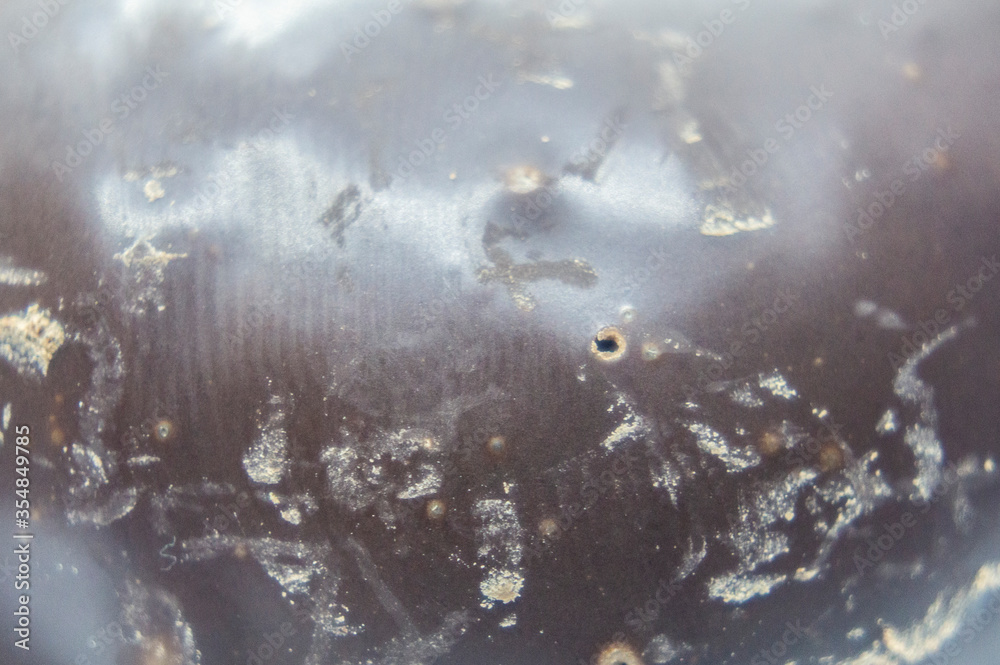 Fototapeta premium Dark chocolate closeup. Macro photography