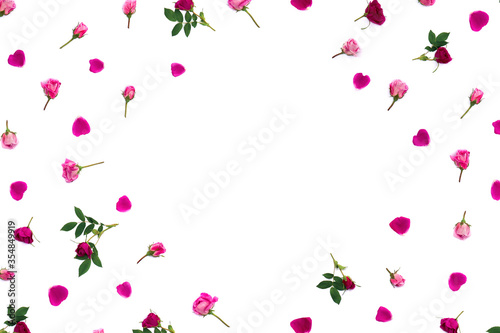 Frame of pink roses  buds  petals on a white background with space for text. Top view  flat lay