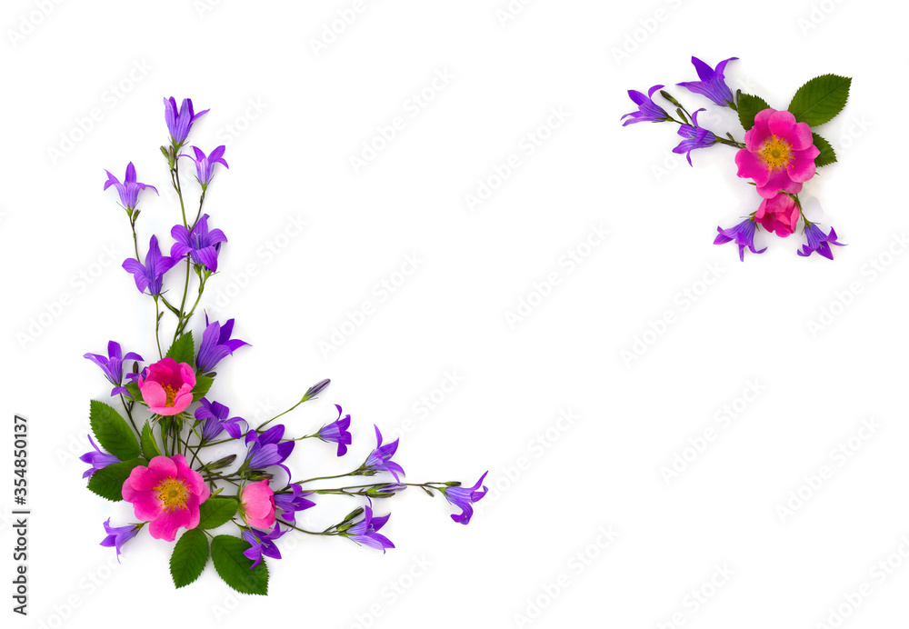 Frame of violet blue flowers bell and flowers pink dog-rose on a white background with space for text. Top view, flat lay Frame of violet blue flowers bell and flowers pink dog-rose on a white background with space for text. Top view, flat lay