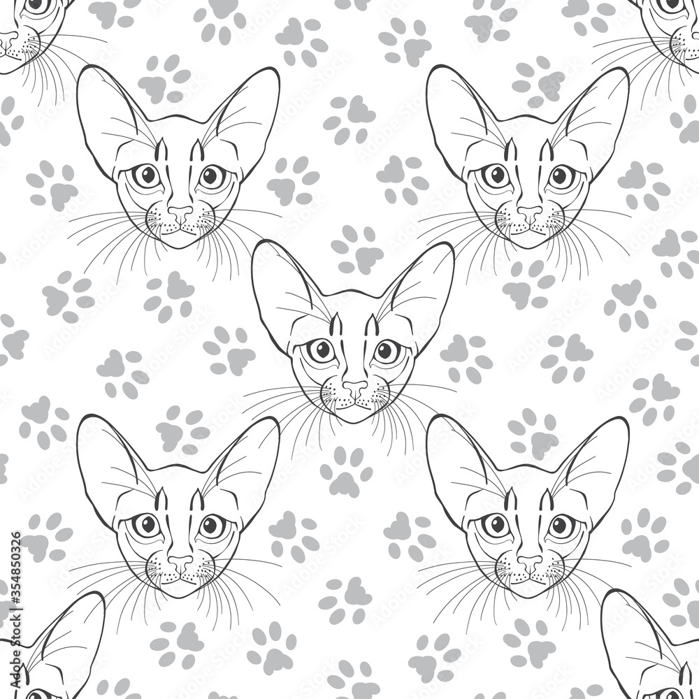 Abyssinian cat face and trace cat feet. Seamless vector pattern. Hand-drawn vector illustration on white. Animal art background. Monochrome. Abyssinian cat face and trace cat feet. Seamless vector pattern. Hand-drawn vector illustration on white. Animal art background. Monochrome.