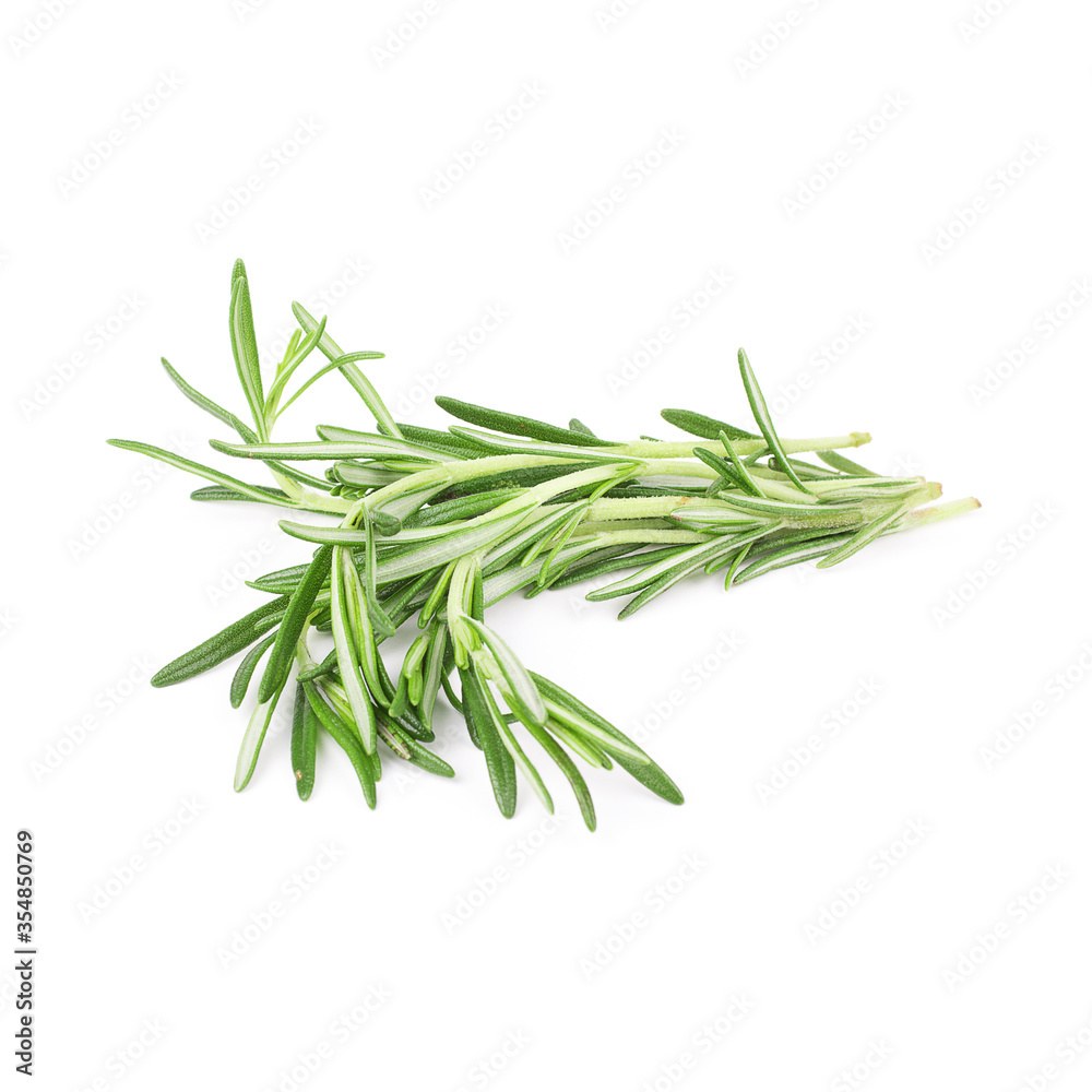 Twigs of green rosemary on a white background