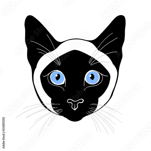 Siamese cat, cat face. Hand-drawn vector illustration on white.