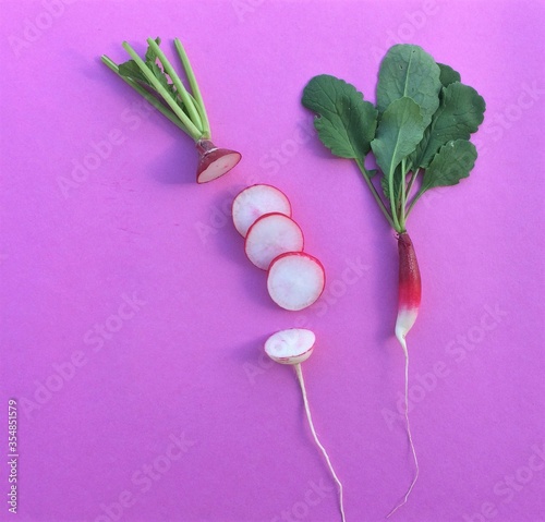 Fresh red sliced radish. Freshly harvested  purple colorful radish on pink background. Growing radish. Seasonal Cooking  food styling. European red radishes  Raphanus sativus   raw foods concept.