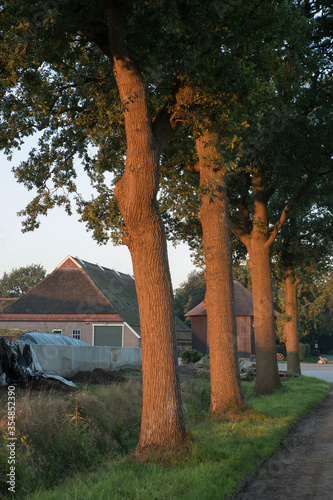 Historic barn of farm. Prinses Marianne Hoeve. Wilhelminaoord. Maatschappij van Weldadigheid Frederiksoord Drenthe Netherlands photo