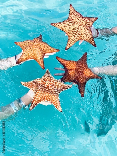 starfish on the sea