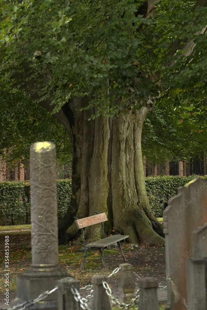 Cemetry Wilhelminaoord. Graveyard with thombstones. Maatschappij van Weldadigheid Frederiksoord Drenthe Netherlands Cemetry Wilhelminaoord. Graveyard with thombstones. Maatschappij van Weldadigheid Frederiksoord Drenthe Netherlands