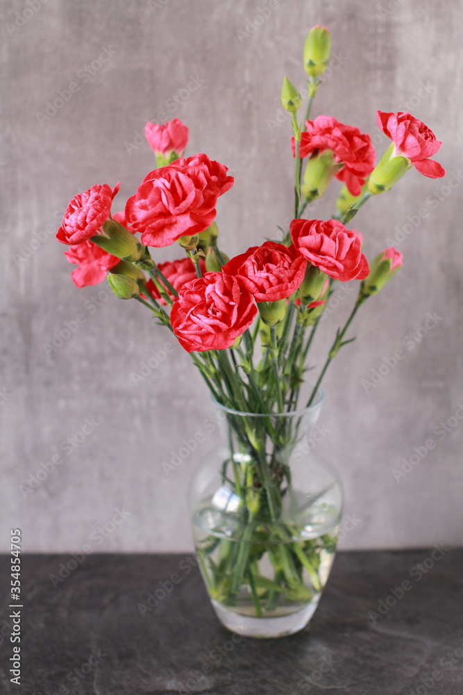 Red carnations in a vase on a gray ceramic background
Red carnations in a vase on a gray ceramic background