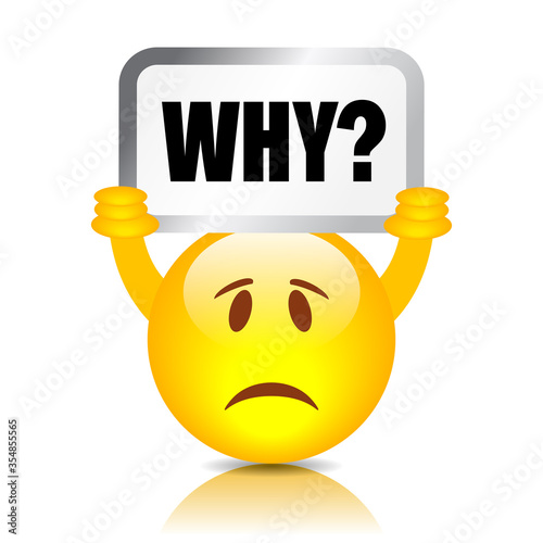 Why question vector sign