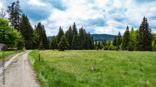natural landscape in sumava national park i czechia