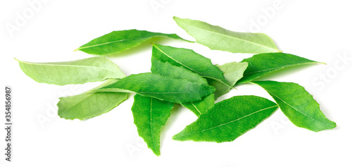 fresh curry leaves (Murraya koenigii) isolated on white background © Amy Lv