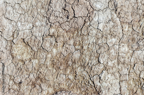 Textured background of dry cracked earth surface. Drought in summer